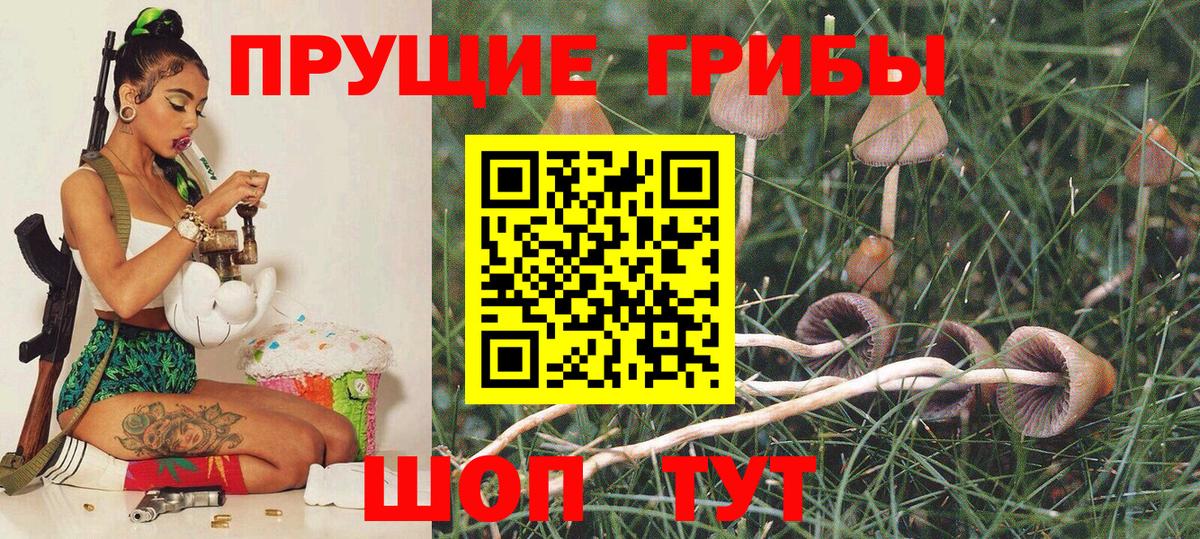 Псилоцибиновые грибы мицелий Каспийск